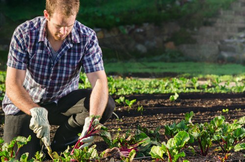 Modern slavery statement for Landscapers Teddington with ethical business commitment
