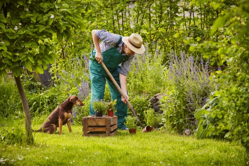 Planting services for a Teddington garden border with shrubs and seasonal colour