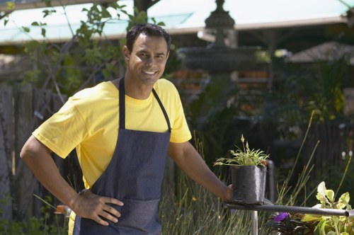 Local lawn mowing service for Teddington residential gardens