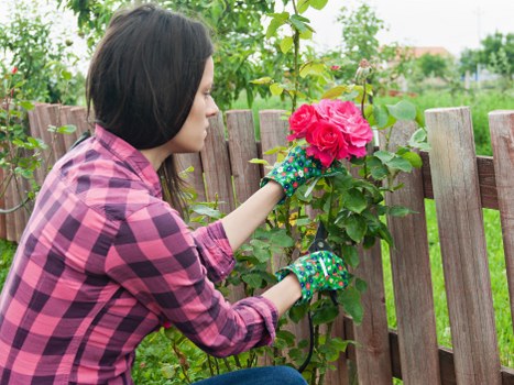 Screen reader compatible landscaping content with headings and labels