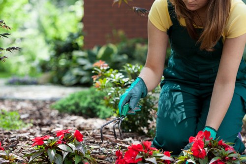 Professional planting of borders and containers in Teddington