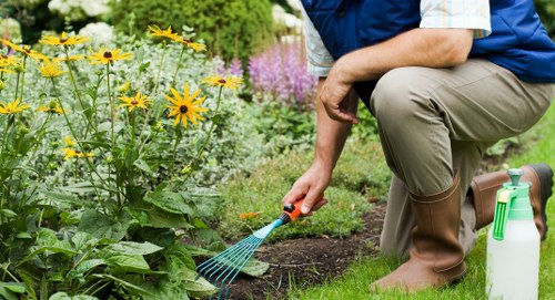 Inclusive landscaping website experience for Teddington users