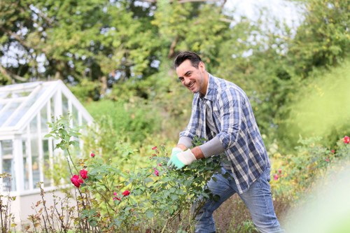 Commercial lawn mowing for businesses and shared outdoor spaces in Teddington