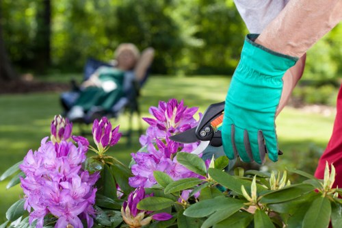Professional grass cutting and edging for Teddington lawns