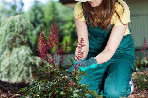 Autumn garden clearance and leaf removal in a Teddington outdoor space