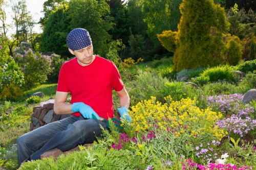 Sorted landscaping waste in an eco-friendly disposal area
