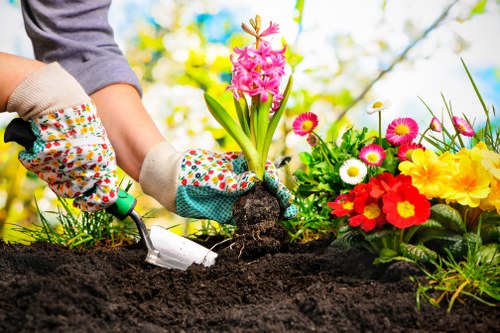 Professional garden waste removal from a backyard in Teddington