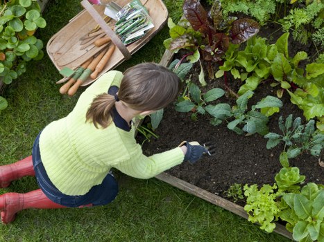 Customer completing a safe payment for landscaping work