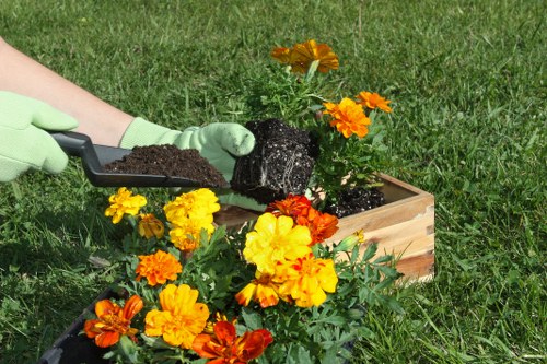 Local Teddington garden landscaping service including planting and lawn work