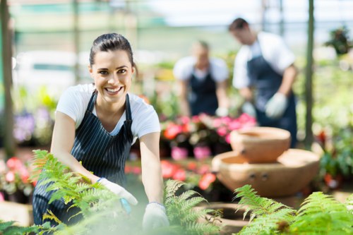 Regular lawn maintenance for a well-kept Teddington garden